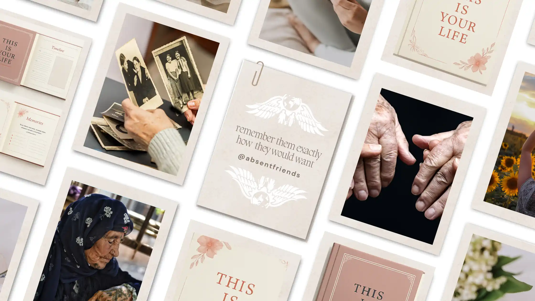 Collection of memory cards and photos